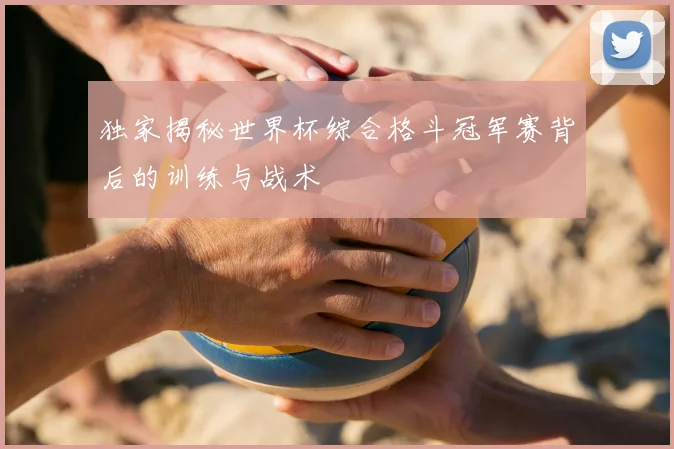 独家揭秘世界杯综合格斗冠军赛背后的训练与战术