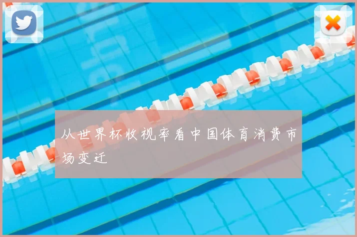 从世界杯收视率看中国体育消费市场变迁