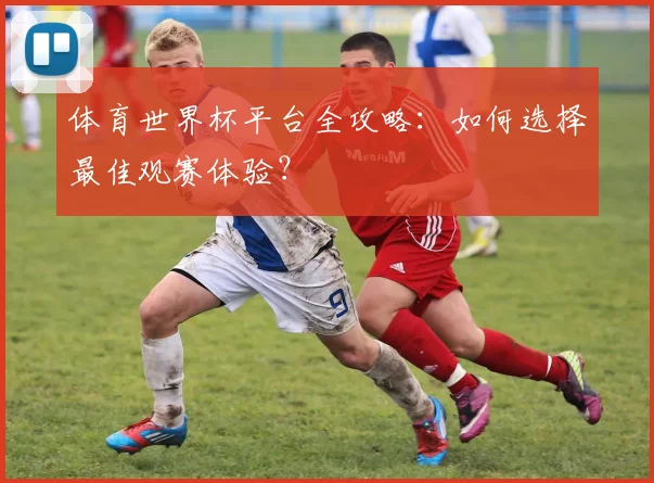 体育世界杯平台全攻略：如何选择最佳观赛体验？
