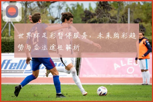 世界杯足彩暂停服务，未来购彩趋势与合法途径解析