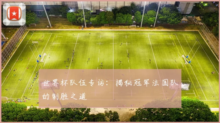 世界杯队伍专访：揭秘冠军法国队的制胜之道