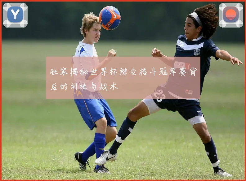 独家揭秘世界杯综合格斗冠军赛背后的训练与战术