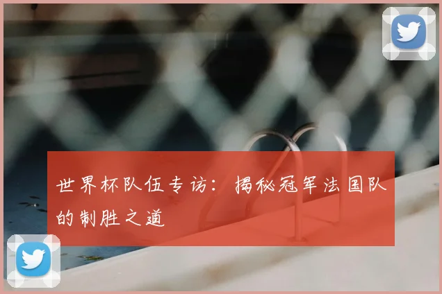 世界杯队伍专访：揭秘冠军法国队的制胜之道