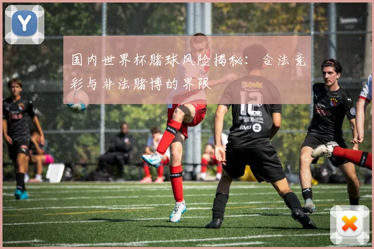 国内世界杯赌球风险揭秘：合法竞彩与非法赌博的界限