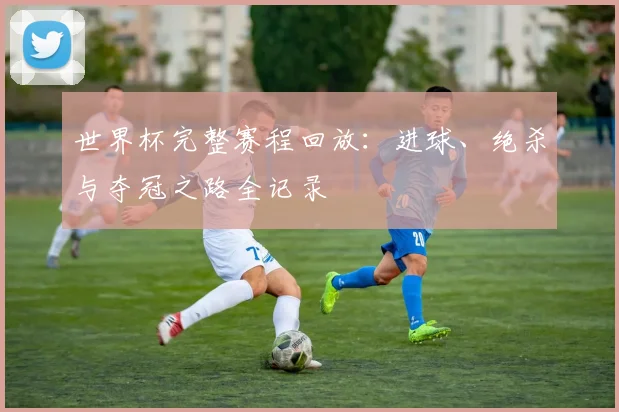 世界杯完整赛程回放：进球、绝杀与夺冠之路全记录