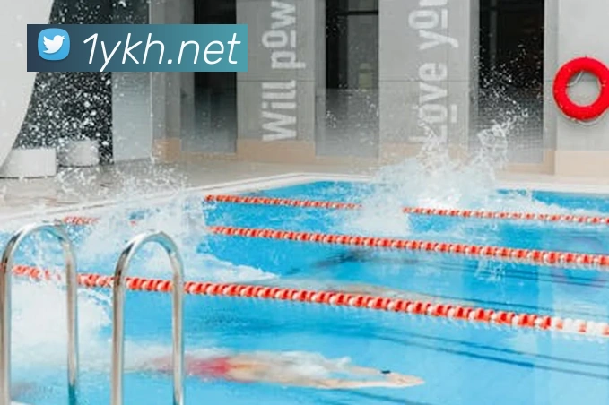 开云手机在线官网登录平台生态图