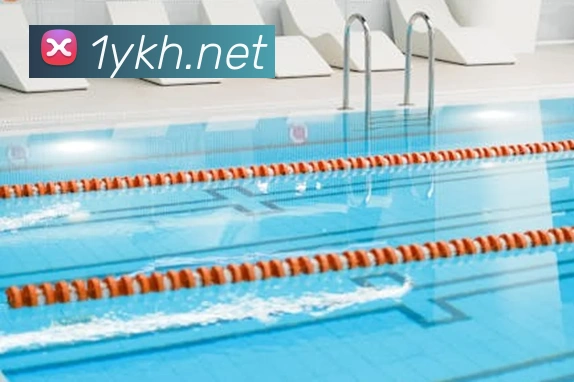 开云手机在线官网登录全站App